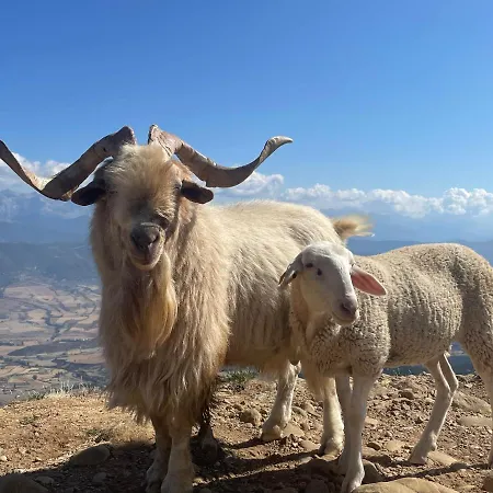 Διαμέρισμα Marbore *